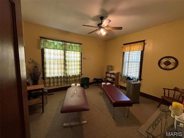 203 W Booneslick Rd, Warrenton, MO 63383 - exercise area featuring ceiling fan, baseboards, and carpet floors