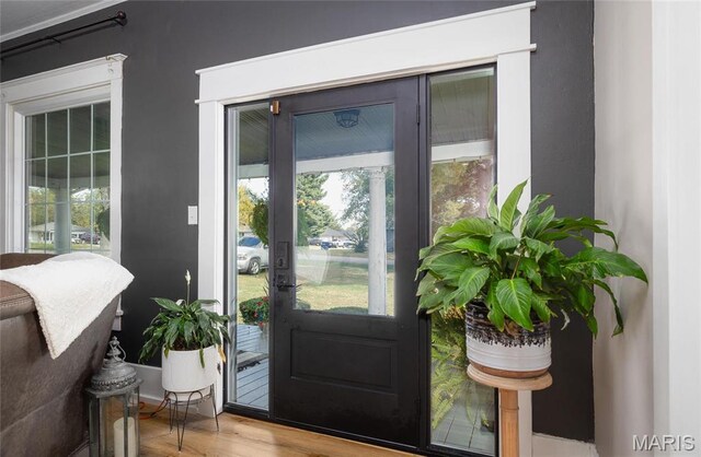 401 W Gibbs, Salem, MO 65560 - doorway featuring wood finished floors