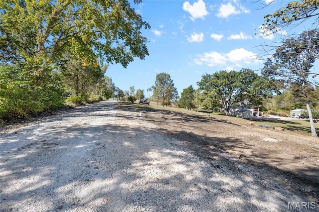 10410 Business 21, Hillsboro, MO 63050 - view of dirt / gravel road