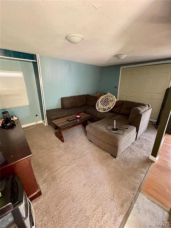3159 Dorman Rd, Festus, MO 63028 - living area with a textured ceiling