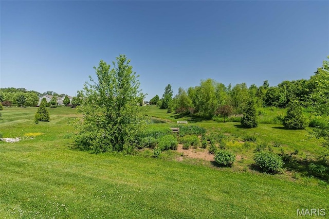 612 Savannah View Way, Chesterfield, MO 63017 - view of yard
