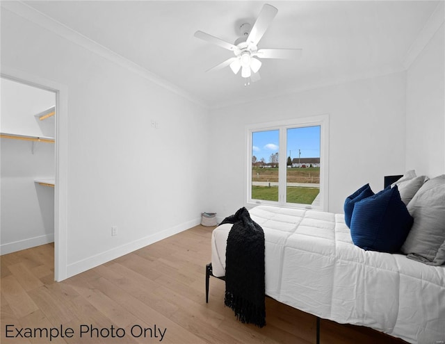 bedroom featuring crown molding, light wood-style floors, a walk in closet, baseboards, and a ceiling fan