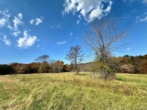 0 Grand Ave, Houston, MO 65483
