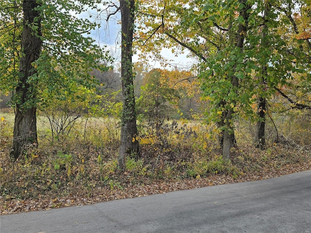 0 Grand Ave, Houston, MO 65483