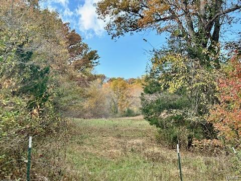 0 Grand Ave, Houston, MO 65483