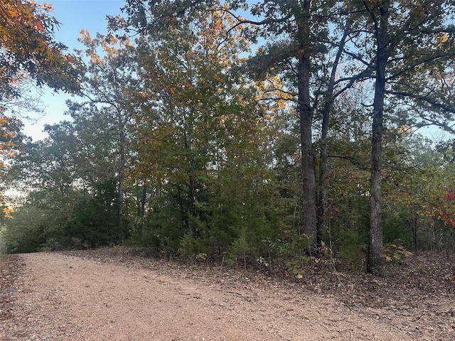 0 Kingsley Rd, Potosi, MO 63664
