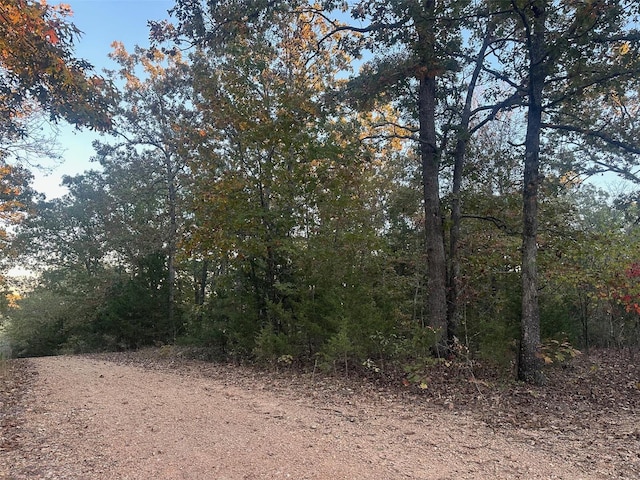 0 Kingsley Rd, Potosi, MO 63664