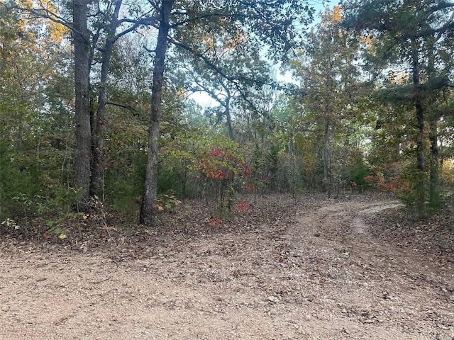0 Kingsley Rd, Potosi, MO 63664