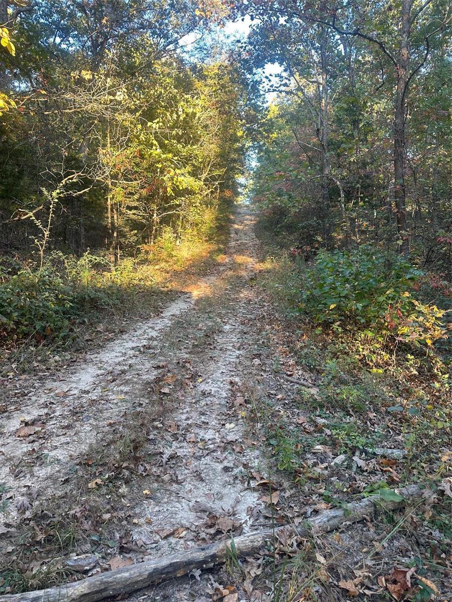 0 Blackrock Rd, Potosi, MO 63664