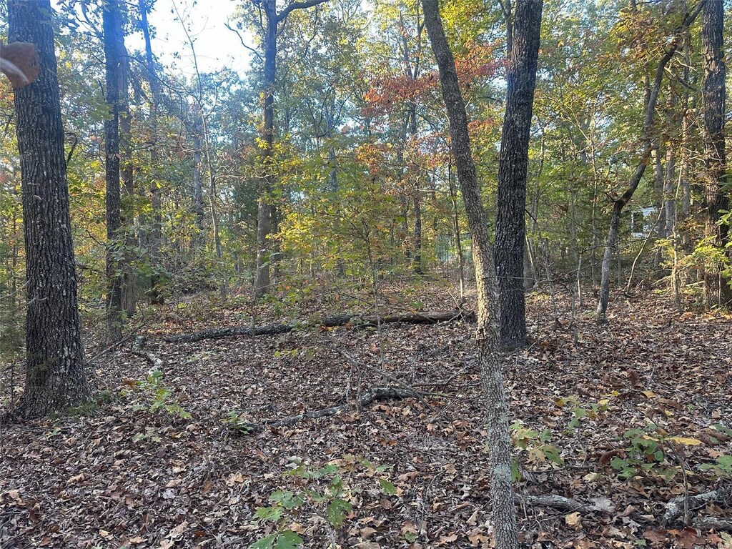 0 Blackrock Rd, Potosi, MO 63664