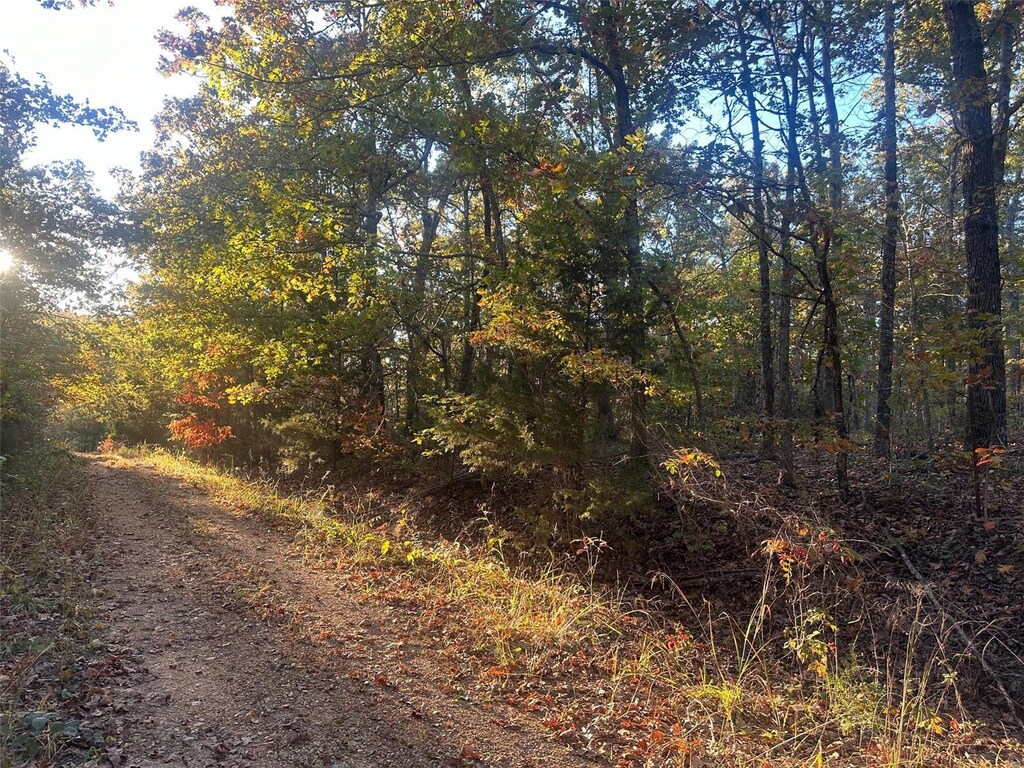 0 Blackrock Rd, Potosi, MO 63664