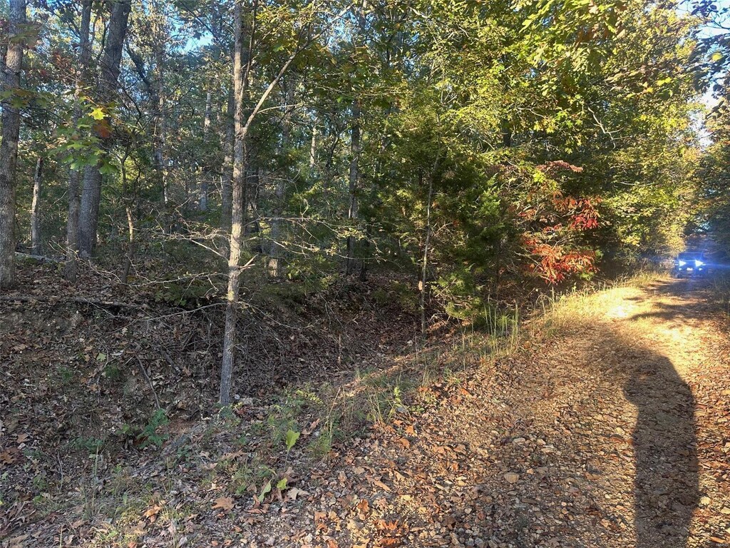 0 Blackrock Rd, Potosi, MO 63664