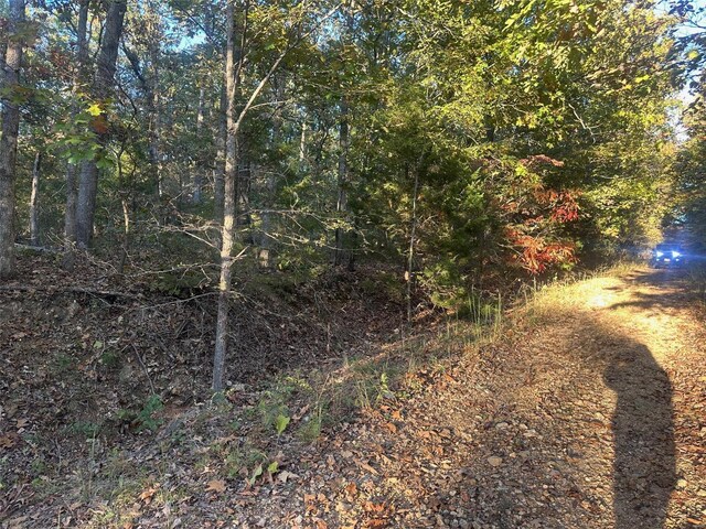 0 Blackrock Rd, Potosi, MO 63664
