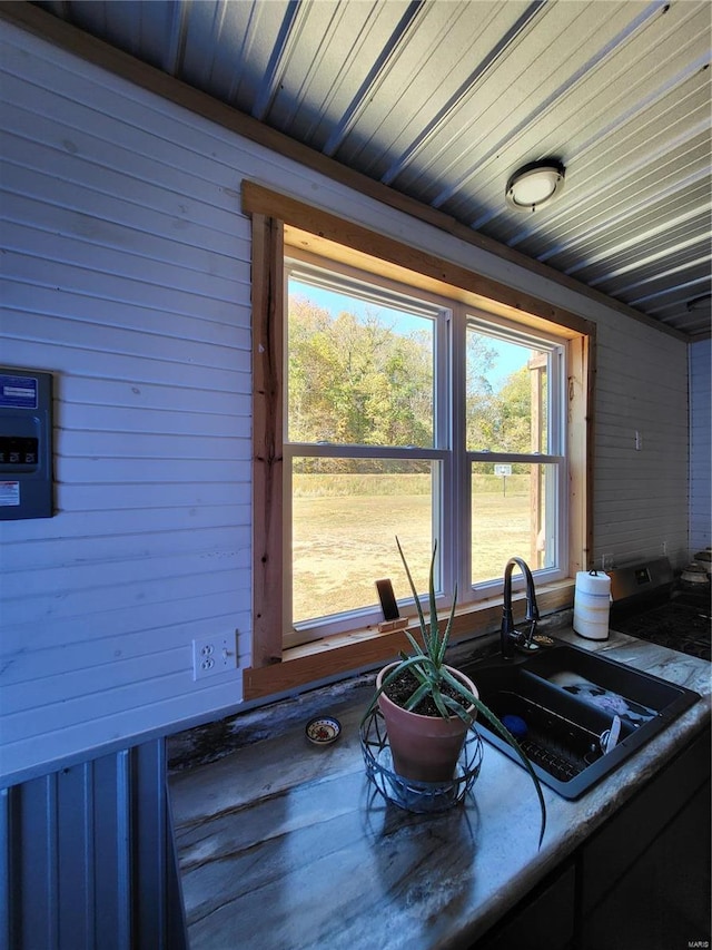 2724 Wayne Rte # Oo, Greenville, MO 63944 - kitchen featuring wooden walls and a sink