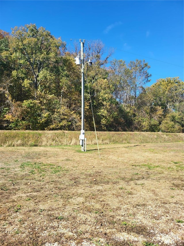 2724 Wayne Rte # Oo, Greenville, MO 63944 - view of yard
