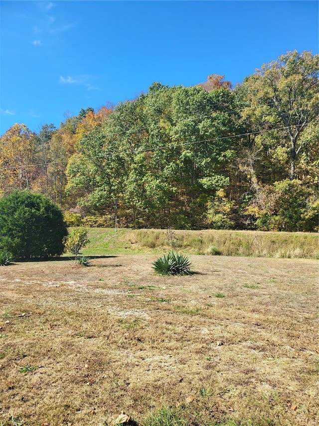 2724 Wayne Rte # Oo, Greenville, MO 63944 - view of yard featuring a view of trees