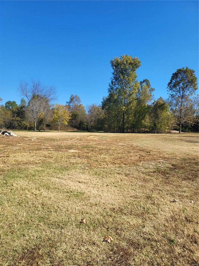 2724 Wayne Rte # Oo, Greenville, MO 63944 - view of undeveloped land