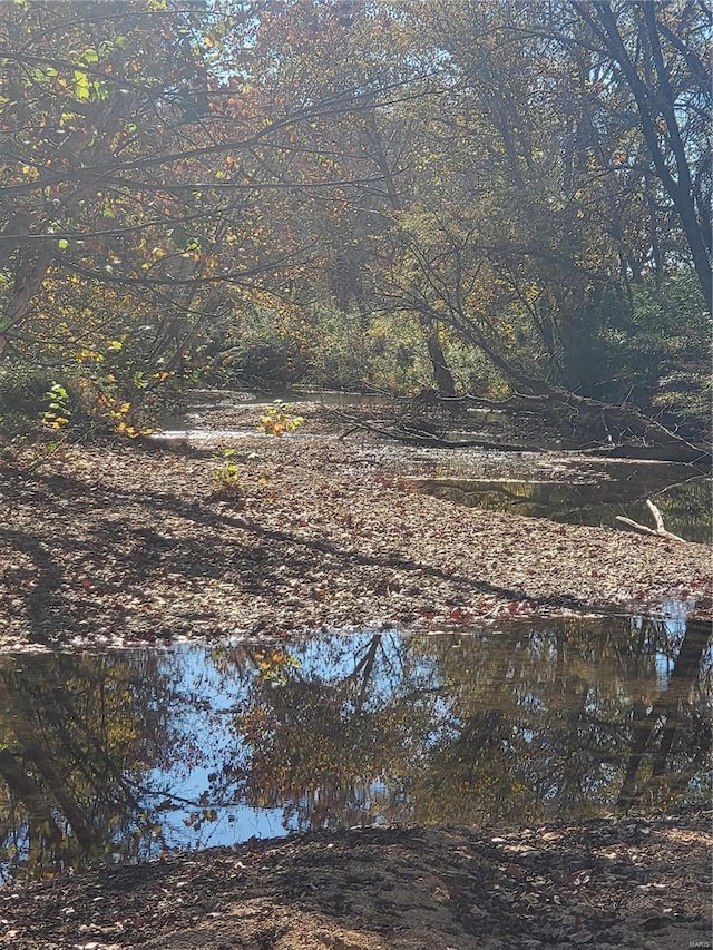 2724 Wayne Rte # Oo, Greenville, MO 63944 - water view