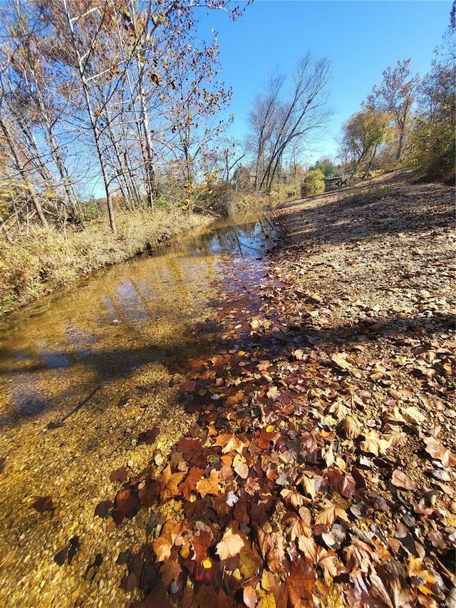 2724 Wayne Rte # Oo, Greenville, MO 63944 - view of yard