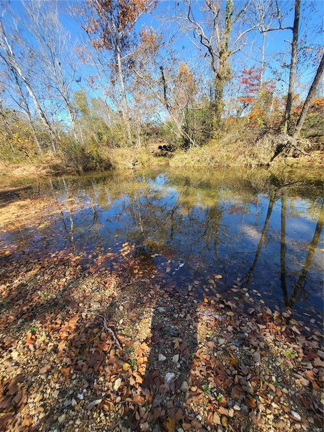 2724 Wayne Rte # Oo, Greenville, MO 63944 - water view