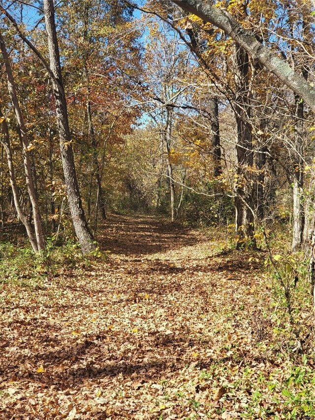2724 Wayne Rte # Oo, Greenville, MO 63944 - view of wooded area