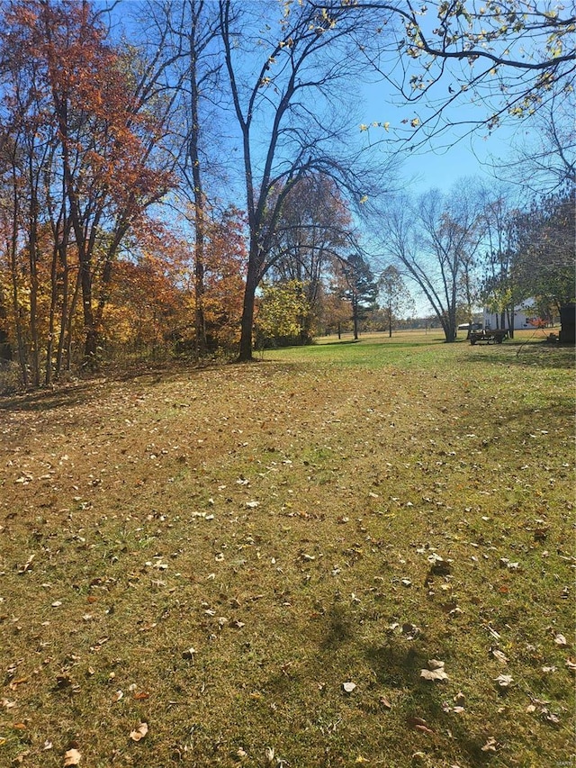 2724 Wayne Rte # Oo, Greenville, MO 63944 - view of yard