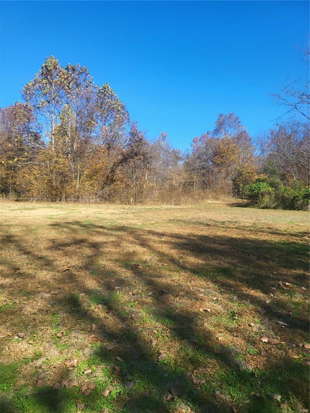 2724 Wayne Rte # Oo, Greenville, MO 63944 - view of green lawn featuring a view of trees