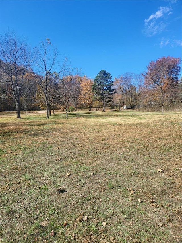2724 Wayne Rte # Oo, Greenville, MO 63944 - view of grassy yard