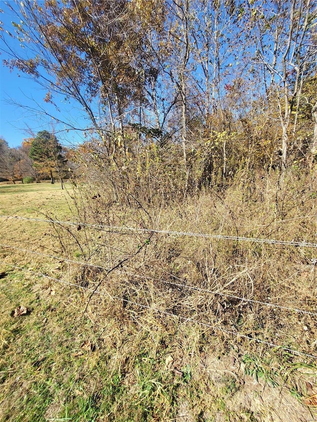 2724 Wayne Rte # Oo, Greenville, MO 63944 - view of nature