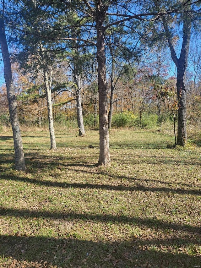 2724 Wayne Rte # Oo, Greenville, MO 63944 - view of green lawn