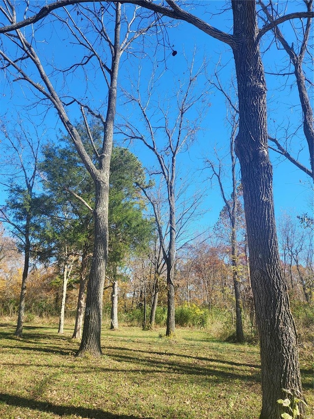 2724 Wayne Rte # Oo, Greenville, MO 63944 - view of green lawn