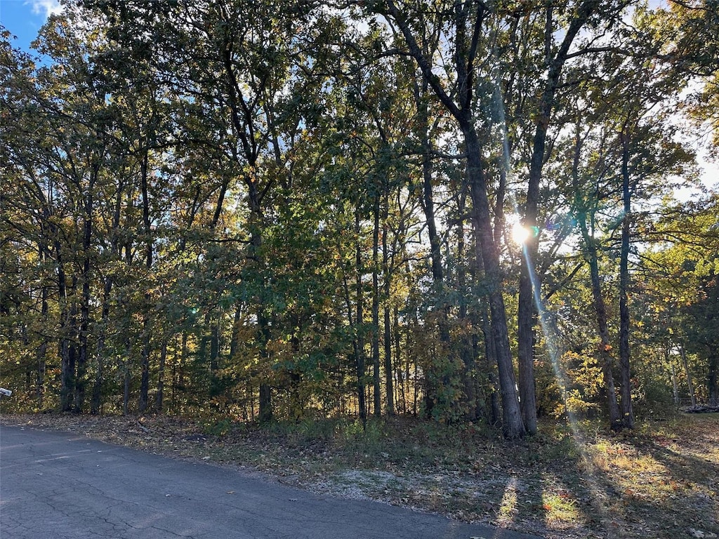 0 Pawnee Dr, Irondale, MO 63648