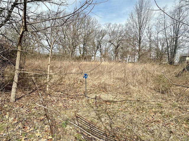 view of undeveloped land