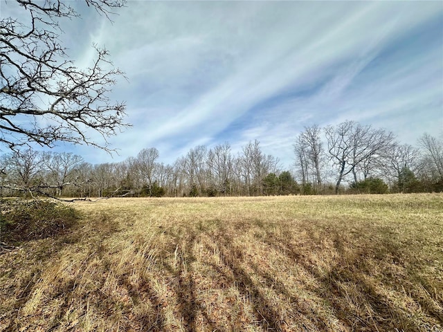 view of undeveloped land featuring rural landscape