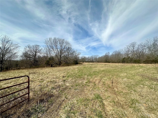 view of yard featuring a rural view