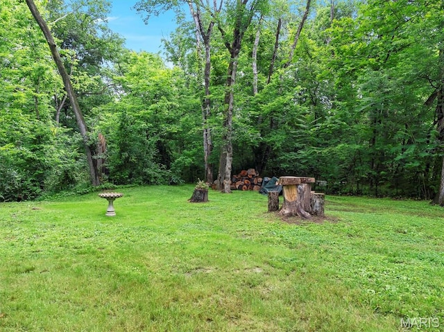 575 E Villa Ridge Rd, Villa Ridge, MO 63089 - view of grassy yard with a forest view