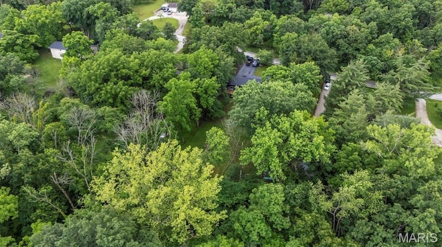 575 E Villa Ridge Rd, Villa Ridge, MO 63089 - aerial view of property and surrounding area with a forest