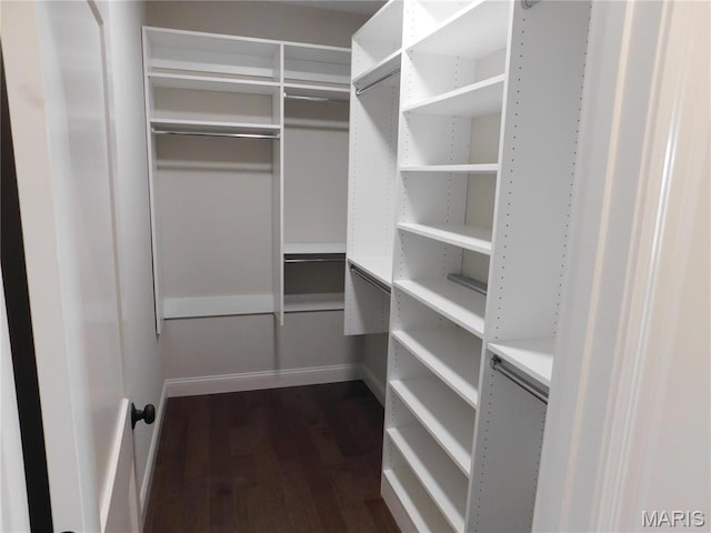 spacious closet with dark wood finished floors