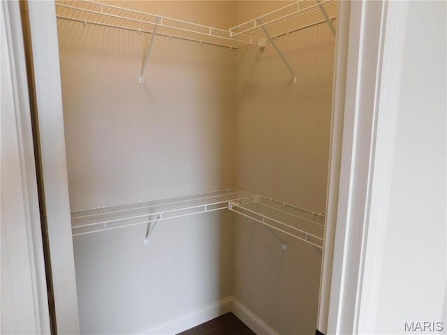 view of walk in closet