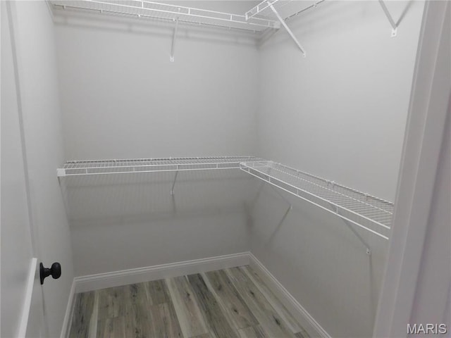 spacious closet featuring wood finished floors