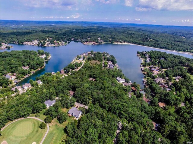 10155 Lake Ridge Dr, Hillsboro, MO 63050 - photo 2