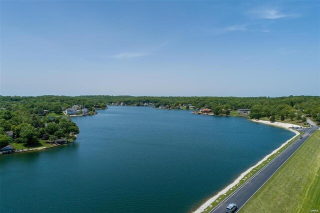 10155 Lake Ridge Dr, Hillsboro, MO 63050 - photo 3