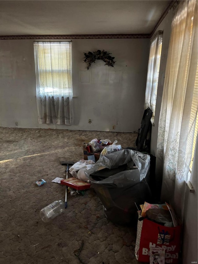 530 N Duncan St, Marine, IL 62061 - view of sitting room