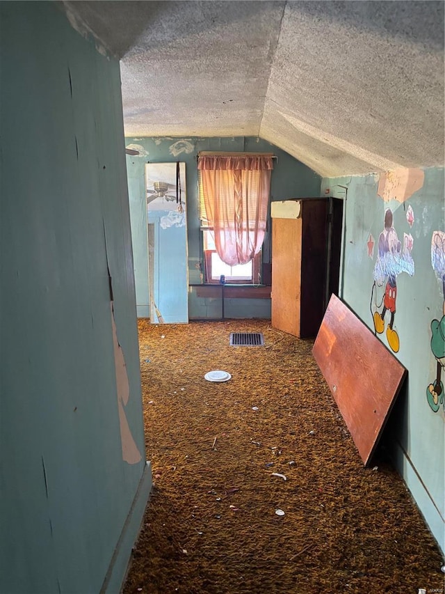 530 N Duncan St, Marine, IL 62061 - corridor with lofted ceiling and a textured ceiling