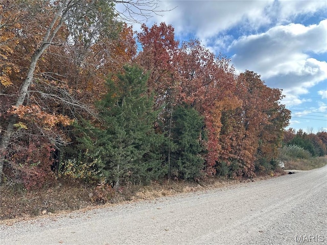 0 Syracuse Ln, Richland, MO 65556 - photo 11
