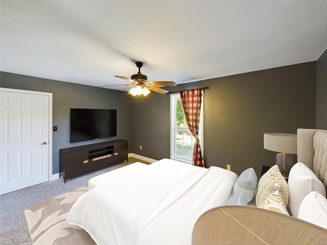 18630 Posen Rd, Nashville, IL 62263 - photo 17