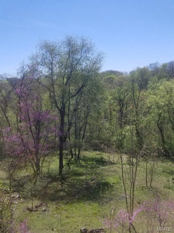 235 Quindaro Dr, Florissant, MO 63034 - view of wooded area