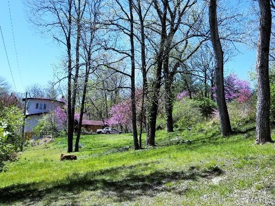 235 Quindaro Dr, Florissant, MO 63034 - photo 70