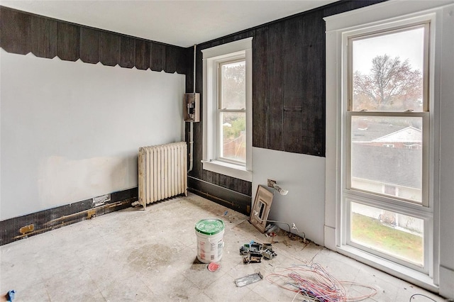 124 Carlyle Ave, Belleville, IL 62220 - spare room with radiator heating unit and healthy amount of natural light