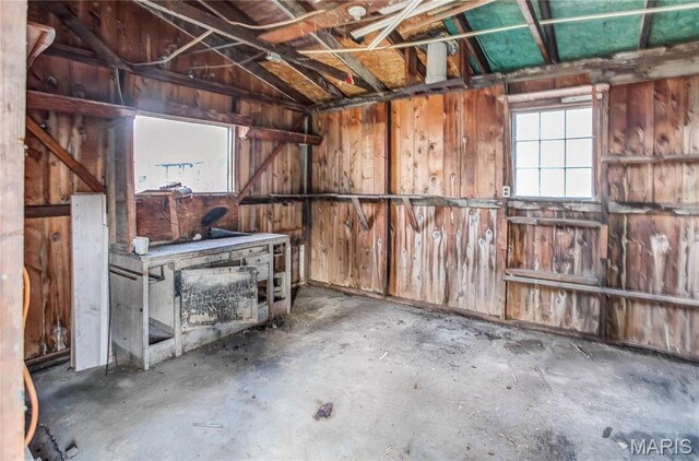 219 Highland St, Carrollton, IL 62016 - below grade area featuring wooden walls